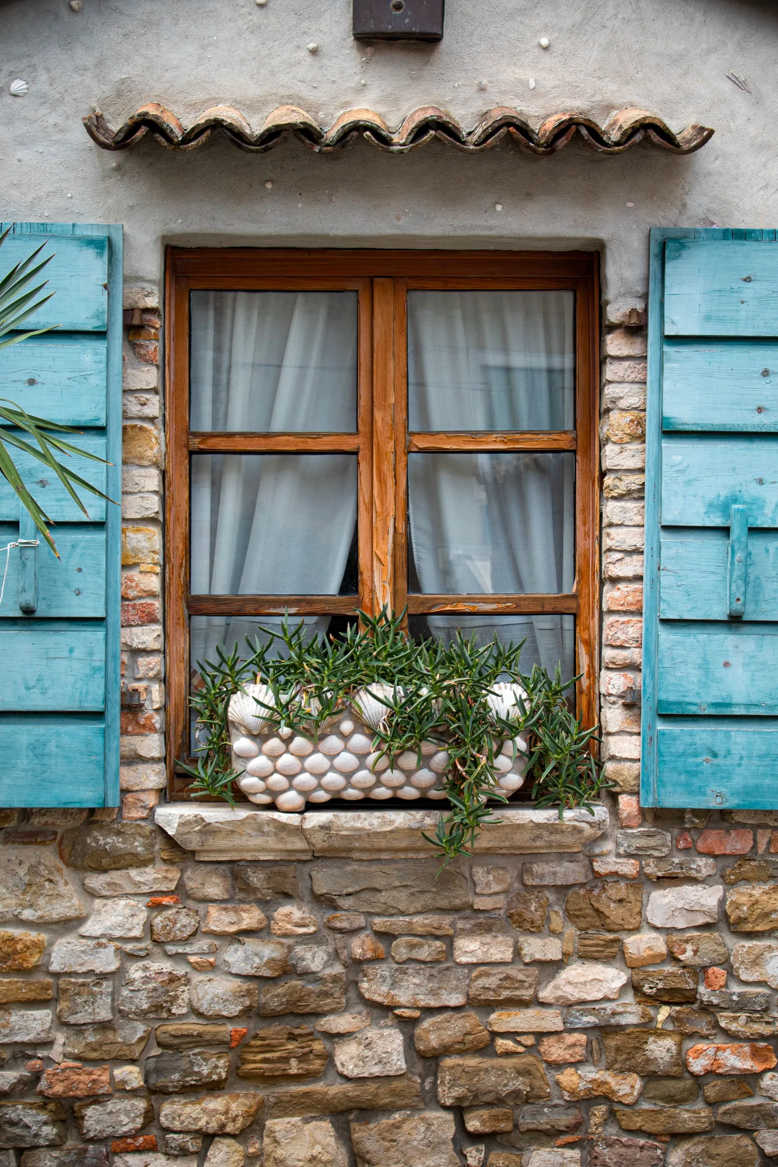 Window with blue shutters and plants